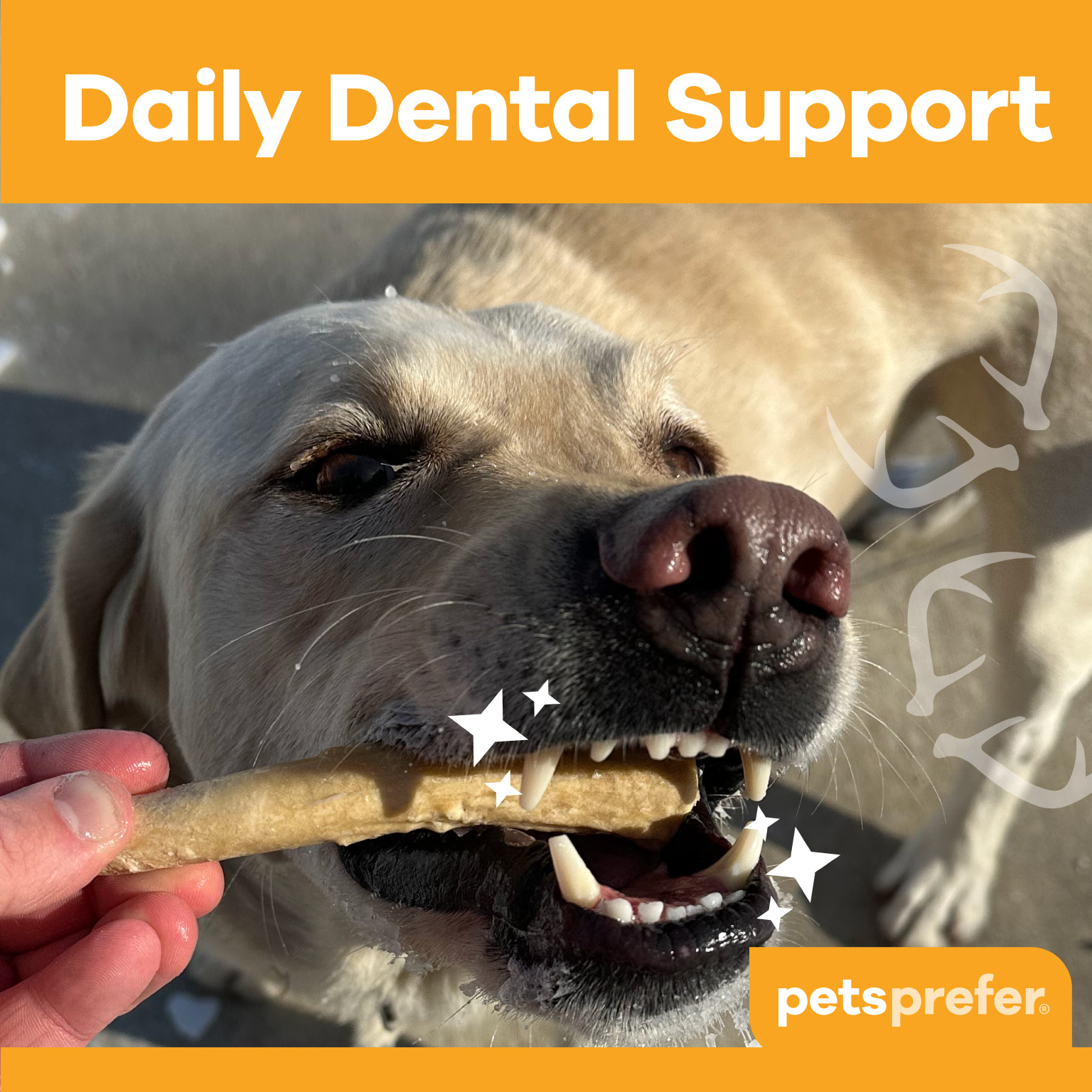 99212_PP_Chompables-Antler-Shaped-Chews_Carousel_02