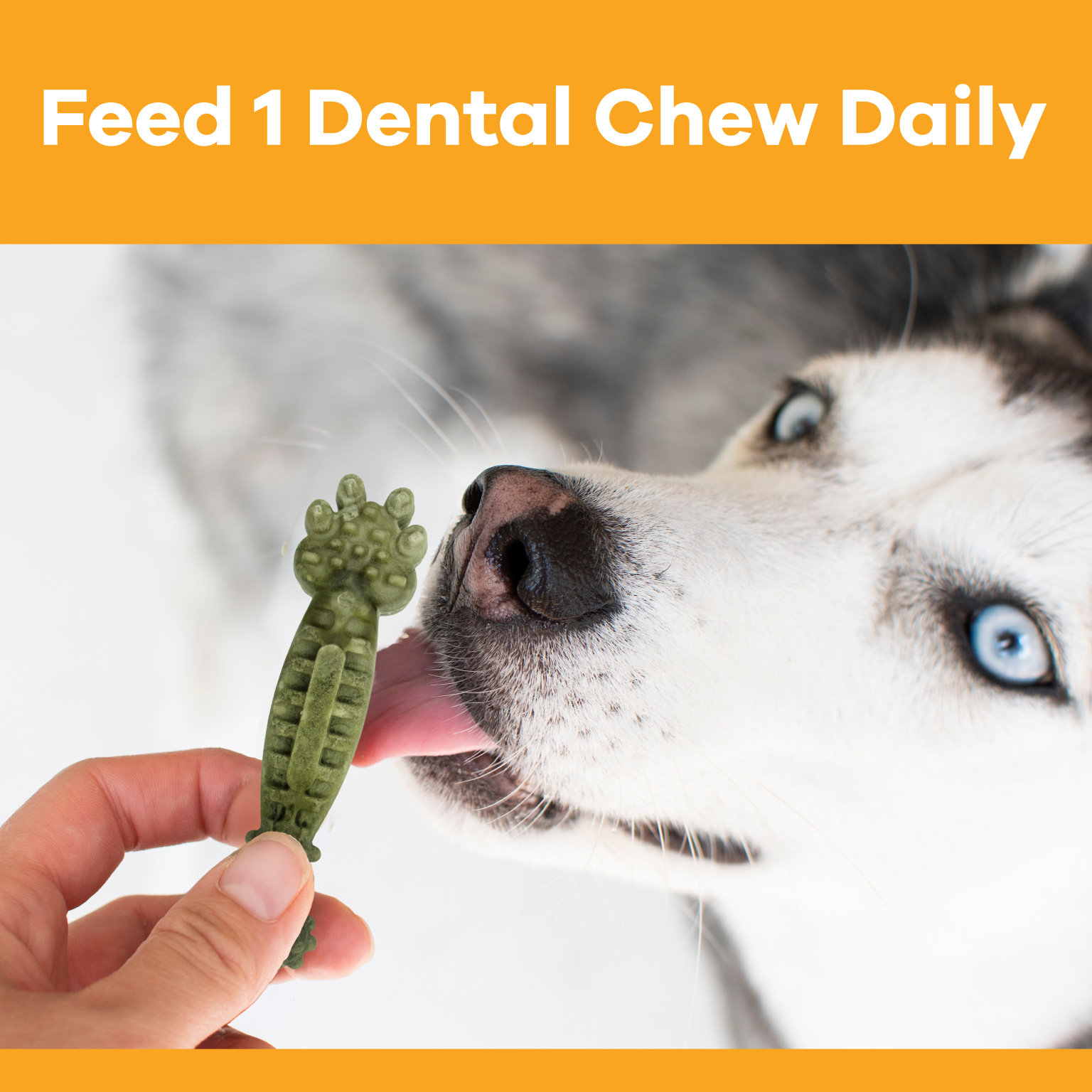 99213_PP_Chompables-Paw-Shaped-Chews_Carousel_04