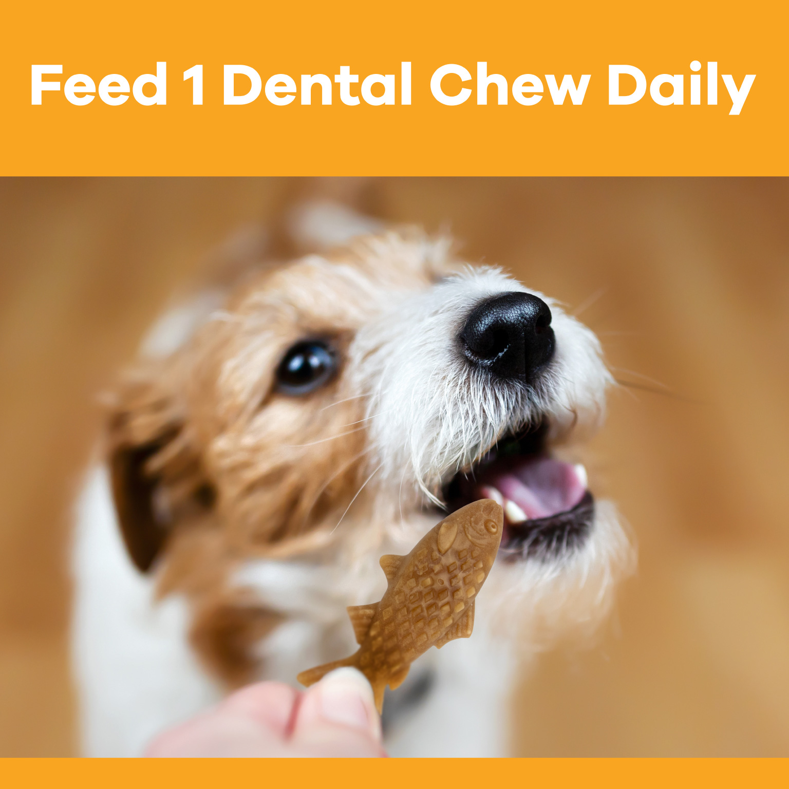 99214_PP_Chompables-Fish-Shaped-Chews_Carousel_04